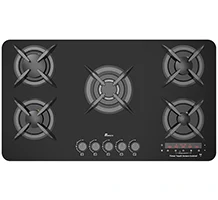 گاز صفحه ای بیمکث 2102 تایمردار